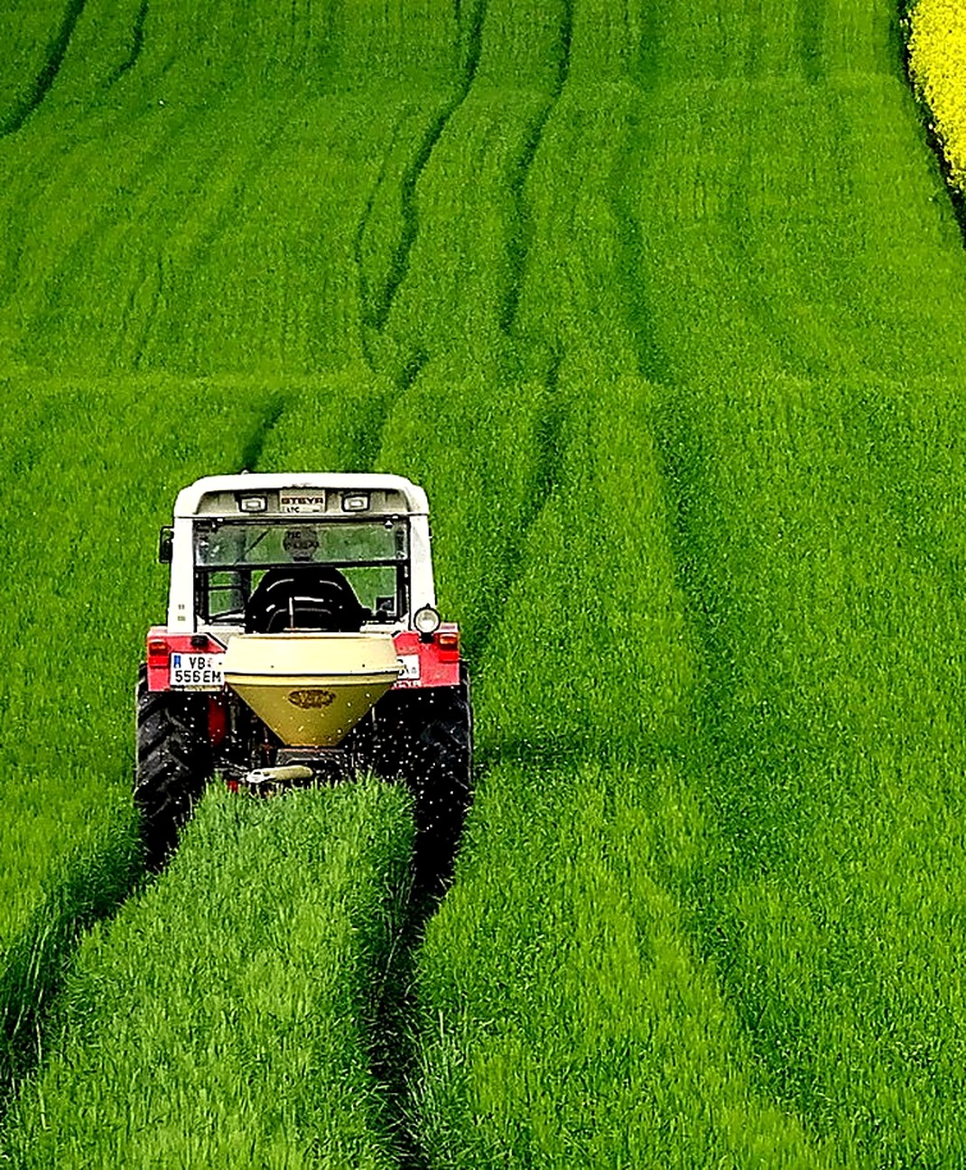 Трактор у полі ріпаку